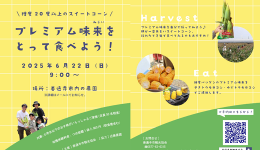 善通寺市で「プレミアム味来をとって食べよう！」が2025年6月22日(日)に開催！親子で楽しむスイートコーン収穫体験♪※事前予約制